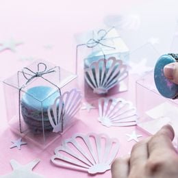 Bildspel - Presentaskar Transparenta