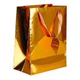 Diaesitys - Lahjapussi Folio Kulta