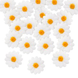 Bildspel - Prydnadsblommor Vita