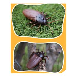 Lysbildefremvisning - Radiostyrt Kakerlakk