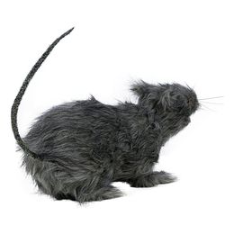 Bildspel - Råtta med Ljus Prop