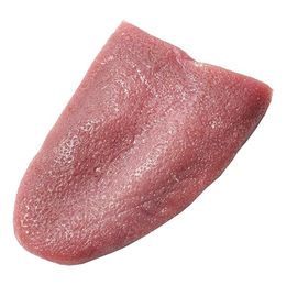 Lysbildefremvisning - Realistisk Tunge