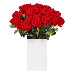 Bildspel - Röd Ros i Plast