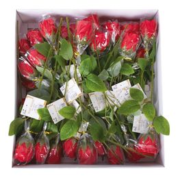 Bildspel - Röda Rosor i Plast