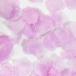 Bildspel - Rosenblad Ljuslila