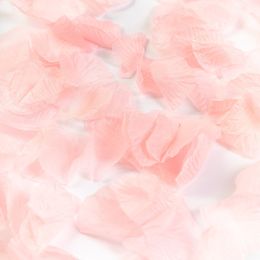 Bildspel - Rosenblad Ljusrosa