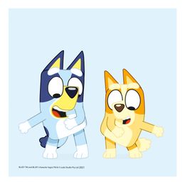 Bildspel - Servetter Bluey