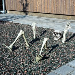 Lysbildefremvisning - Skjelett for Hage Prop