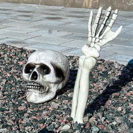 Lysbildefremvisning - Skjelett for Hage Prop