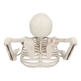 Lysbildefremvisning - Skelet Gennem Jorden Rekvisit