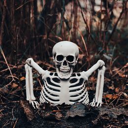 Lysbildefremvisning - Skelet Gennem Jorden Rekvisit