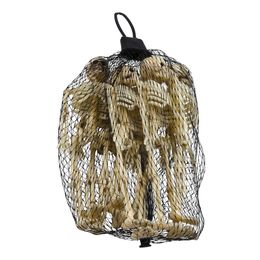 Bildspel - Skelett i Påse