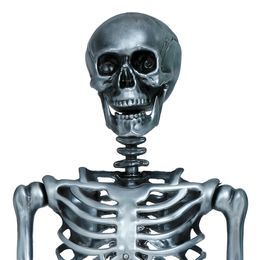 Lysbildefremvisning - Skjelett Sølv Prop