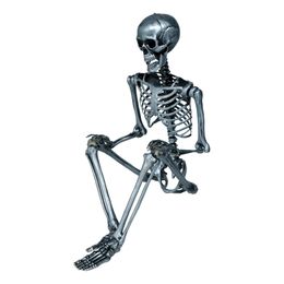 Lysbildefremvisning - Skjelett Sølv Prop