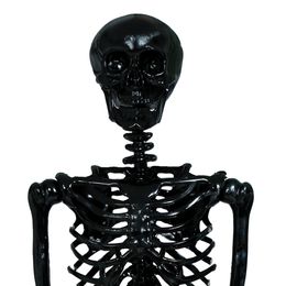 Lysbildefremvisning - Skjelett Svart Rekvisitt