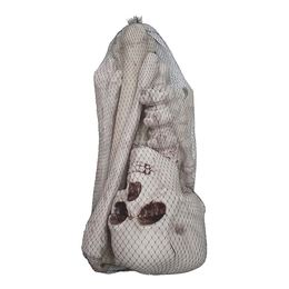 Lysbildefremvisning - Skjelettdeler av Plast