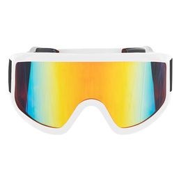 Skidglasögon Vit