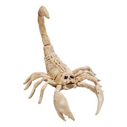 Bildspel - Skorpion Skelett Prop