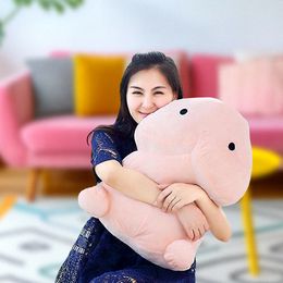 Lysbildefremvisning - Penispude