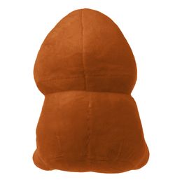 Lysbildefremvisning - Penispude