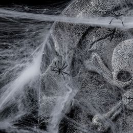 Lysbildefremvisning - Spindelvæv Kæmpepose