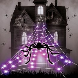 Bildspel - Spindelnät LED med Spindel