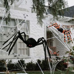 Lysbildefremvisning - Edderkopper Dekorasjonssett XXL