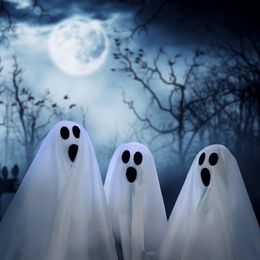 Bildspel - Spöke Trädgårdsdekoration