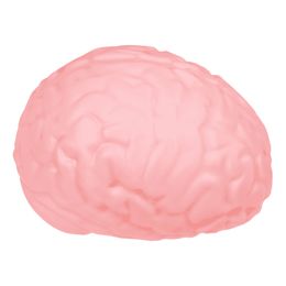 Bildspel - Squeeze Hjärna XL