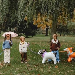 Diaesitys - Seisova Folioilmapallo Bulldog