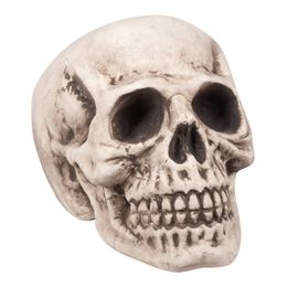 Stor Dödskalle Prop