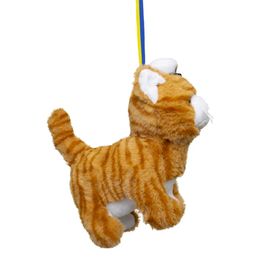 Bildspel - Studentnalle Orange Katt