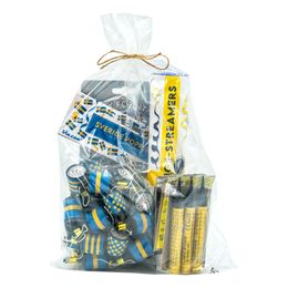 Bildspel - Student Partykit