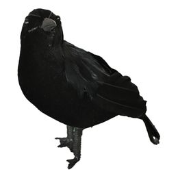 Svart Ravn Dekorasjon