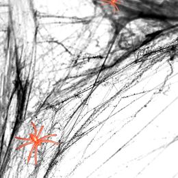 Musta Hämähäkinverkko Hämähäkeillä