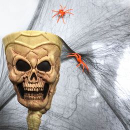 Bildspel - Svart Spindelnät med Spindlar