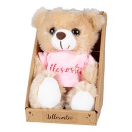 Bildspel - T-Bear Nalle med Text