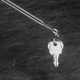 Lysbildefremvisning - Teleskopisk Magnetpinne