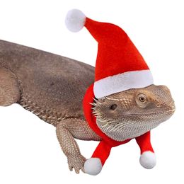 Nissekostume til Øgle