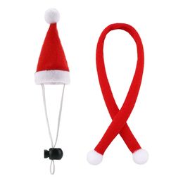 Lysbildefremvisning - Nissekostume til Øgle