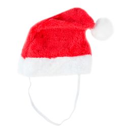 Bildspel - Tomteluva för Hund