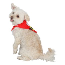 Bildspel - Tomtescarf för Hund