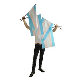 Transflagga på Pinne