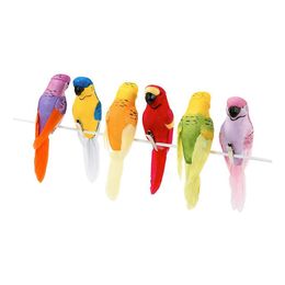 Tropiska Fåglar Dekoration