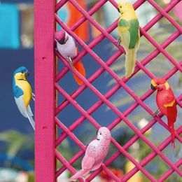 Bildspel - Tropiska Fåglar Dekoration