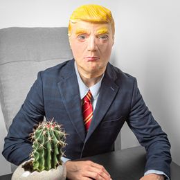 Lysbildefremvisning - Trump Maske