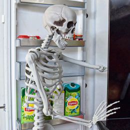 Lysbildefremvisning - Virkelighetstro Skjelett