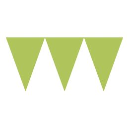 Vimpelguirlande Limegrøn Lang