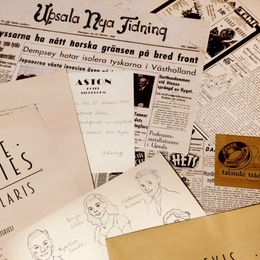 Bildspel - Vintage Mysteries Stella Polaris