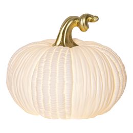 Bildspel - Vit Pumpa LED